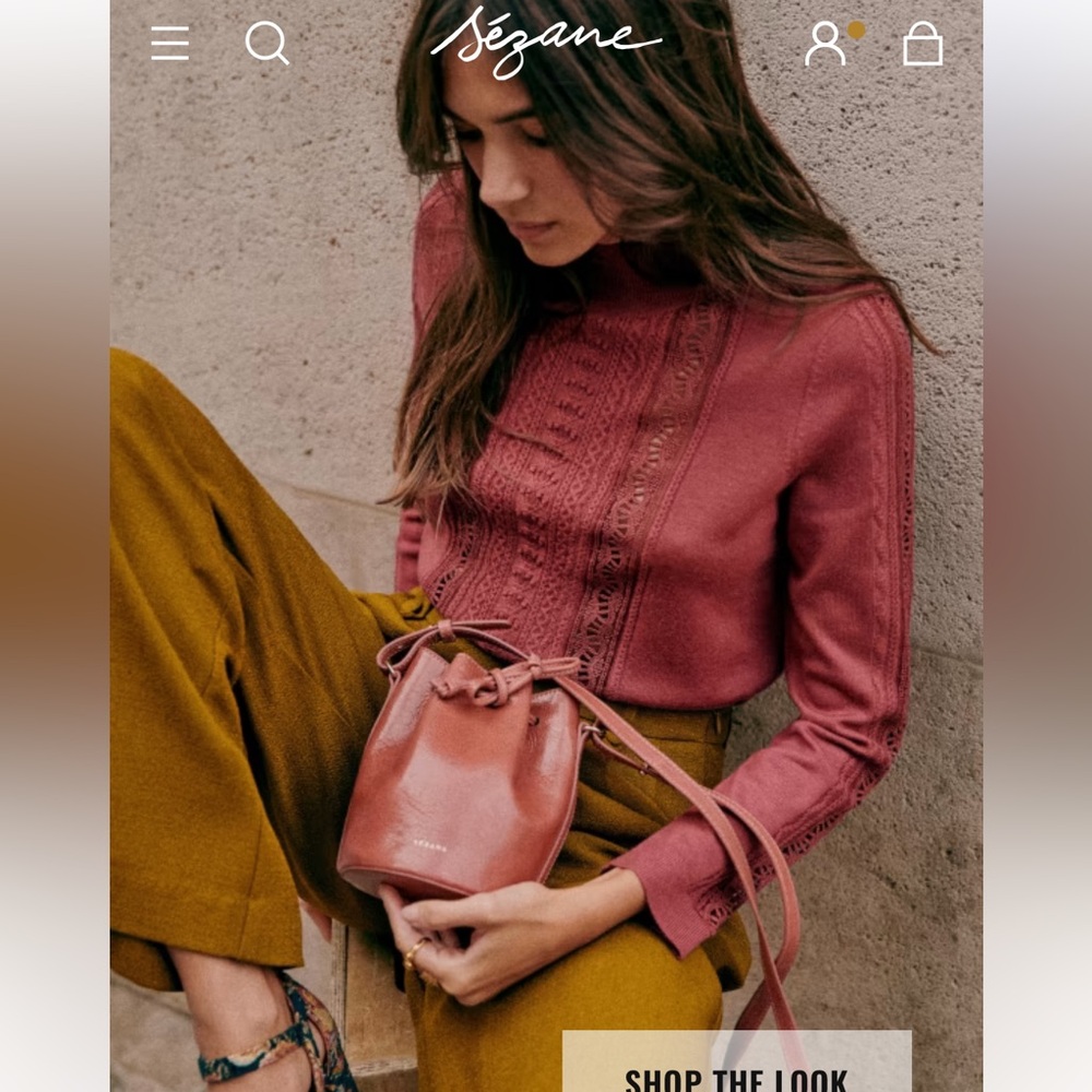 Sezane Micro Farrow Bucket Bag in Vintage Blush - Picture 5 of 5